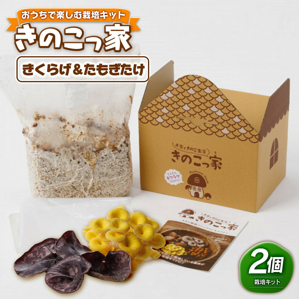【ふるさと納税】おうちで楽しむ栽培キット「きのこっ家」2種セット　きくらげ×たもぎたけ　 【鳥取県 境港市】