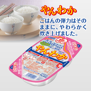 【定期便3回】パパッとライス やんわか ごはん こしひかり 2ヶ月に1回お届け (a60-041)