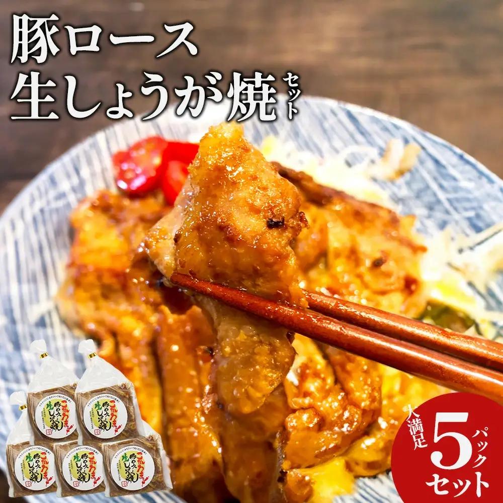 豚ロース生しょうが焼セット　【11218-0660】