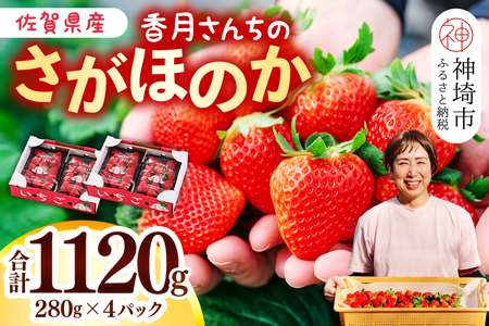 【先行受付 令和8年1月より発送開始】香月さんちのいちご(さがほのか)280g×4パック【いちご イチゴ 苺 さがほのか 大玉 大粒フルーツ 果物  数量限定 香月農園 佐賀県産】(H017116)
