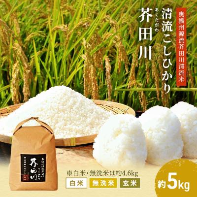 ふるさと納税 加西市 無洗米 【令和7年産】コシヒカリ 4.6kg [無洗米] [No5698-7835]