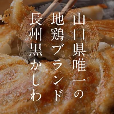 ふるさと納税 山陽小野田市 長州黒かしわ餃子 72個入り |  | 01