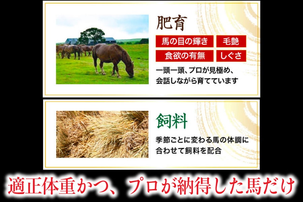 〈令和7年6月出荷〉肥後の桜馬刺し 上赤身 300g 馬肉 馬 国産 国内肥育 希少 肉刺し 真空パック 醤油付き 本場 老舗専門店 ギフト 贈答用 熊本 阿蘇 南小国町 送料無料 高レビュー 《 出