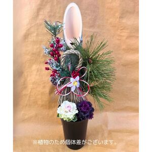 【 先行予約 ：2026年12月発送 】 花  門松 ミニ 寄植え 6号 正月飾り 葉牡丹 門松 門松 正月