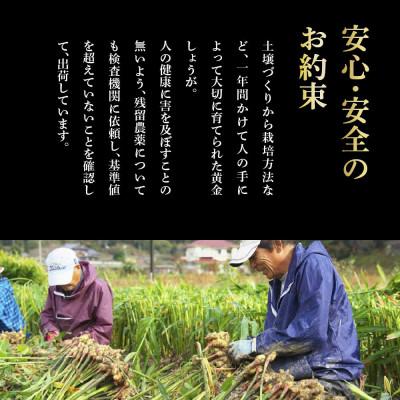 ふるさと納税 芸西村 黄金しょうが粉末　50g×10袋【SNS022】 |  | 02