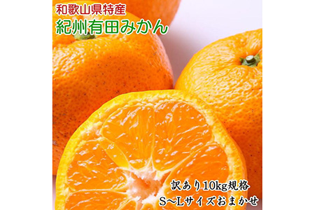 和歌山有田みかん10kg（S～Lサイズいずれかお届け）訳ありご家庭用