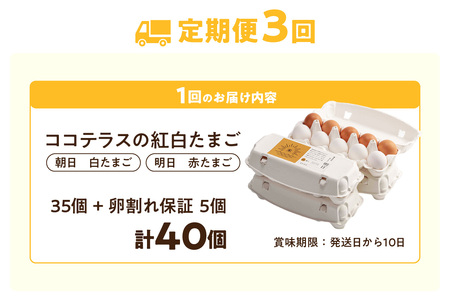 【3ヵ月定期便】ココテラスの紅白たまご　35個 + 5個保証（計40個）【JGAP認証】 農家直送 新鮮 卵 タマゴ 赤卵 白卵 玉子 鶏卵 朝食 夕食 夜食 朝ごはん たまご焼き だし巻き卵 オムレ