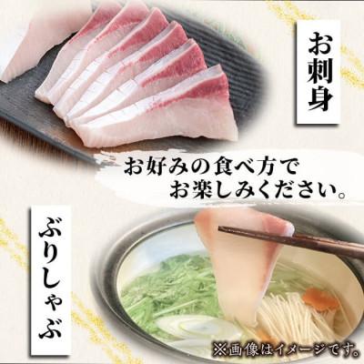 ふるさと納税 垂水市 【鹿児島産ぶり】冷凍 ぶりスライス 3p (刺身・しゃぶしゃぶ用) 【アクアブルー】 |  | 02
