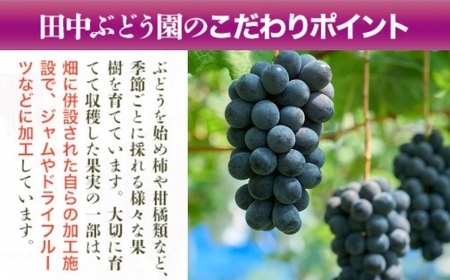 ほしぶどう 40g×10袋  国産 ドライフルーツ 無添加 保存食  食物繊維 鉄分 おやつ おつまみ