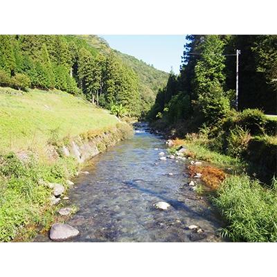 ふるさと納税 四万十町 アメゴ(あまご)の一夜干し　Ess-11 |  | 01