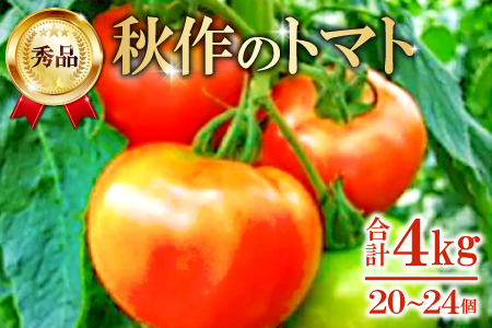 A-165 朝採り「真赤な益田SUNトマト」秀品20～24玉入【秋作】