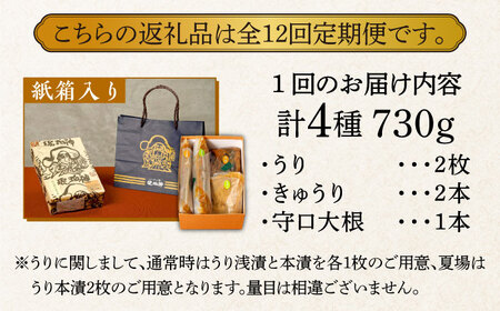 【全12回定期便】奈良漬 「琥珀漬」730g 紙箱入り  [ABAE039]