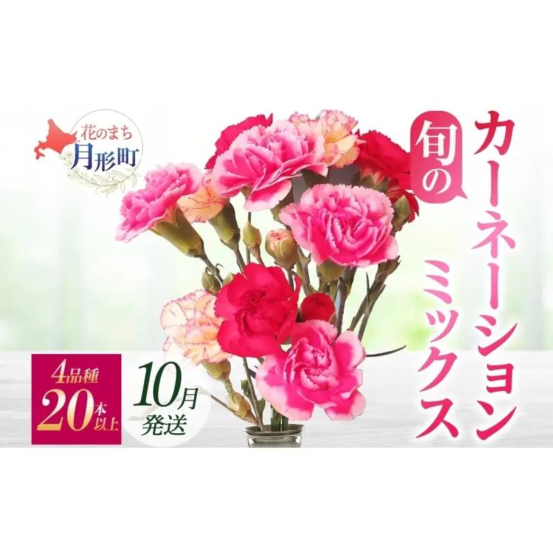 カーネーション ミックス 切り花 北海道産【4品種 20本以上】【10月配送】