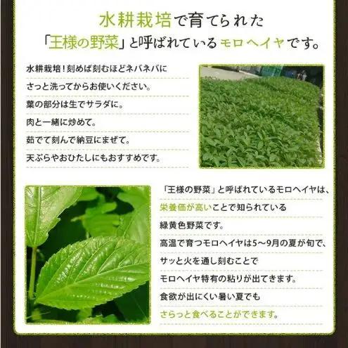 浜松市産 森島農園のモロヘイヤ 約40g×10袋 モロヘイヤ 野菜 葉物野菜 緑黄色野菜 天ぷら おひたし 和食 静岡 浜松市