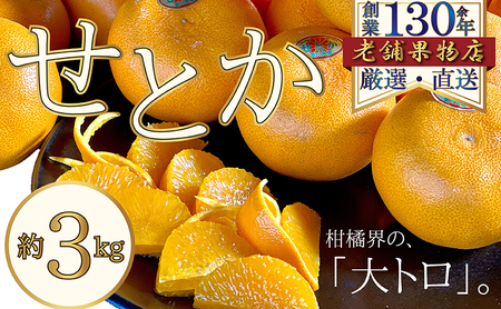 せとか せとかオレンジ 香川県産 約3kg 3キロ 柑橘 かんきつ みかん オレンジ 薄皮 果肉 果汁 ジューシー 綾川産 果物 ぷりぷり みかん王国 香川県 綾川町