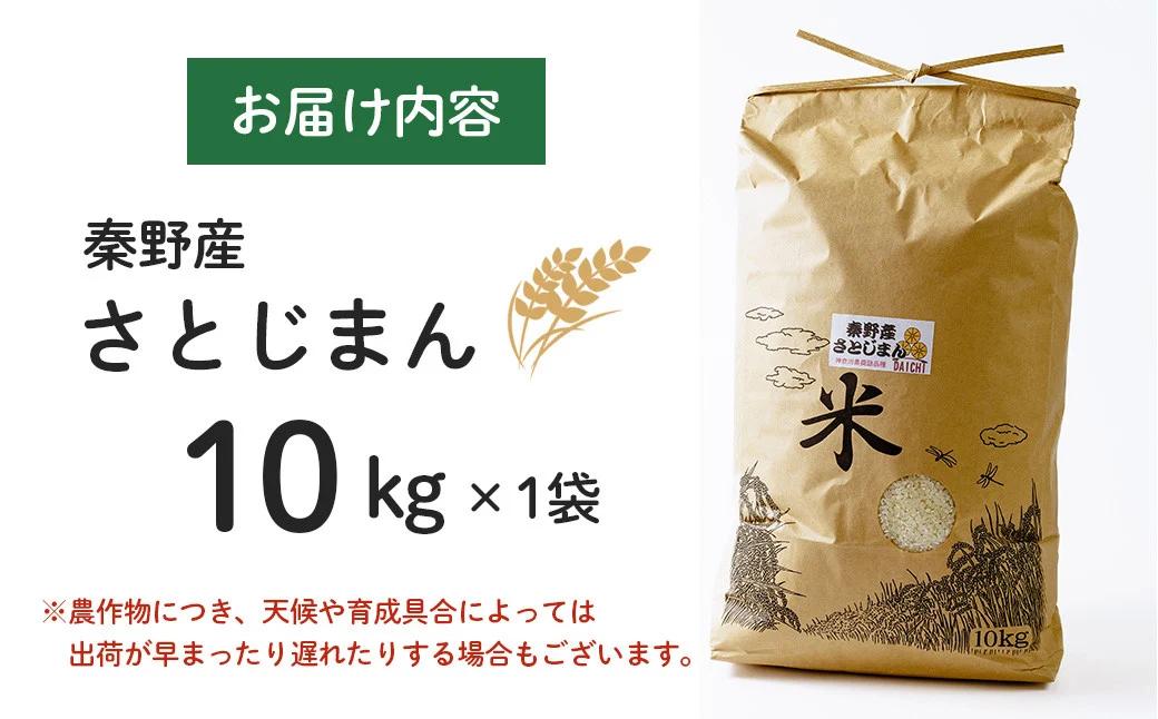 【令和7年新米】秦野のお米「さとじまん」10kg（11月～順次発送） | 神奈川県産 秦野市 大地 10kg 10キロ 米 こめ コメ お米 白米 精米 お取り寄せ 贈答 人気 ランキング ごはん ご