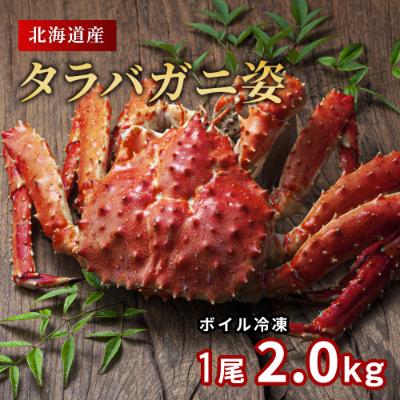 ふるさと納税 旭川市 北海道産タラバガニ姿　1尾 2.0kg(冷凍)_00587