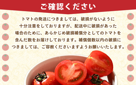 【先行予約】ミディトマト 越のルビー 約2kg 10パック（8パック＋品質補償2パック）／ 福井県産ブランドトマト 農家直送 有機肥料 低農薬 ※2026年9月下旬より順次発送 [aw069-a005