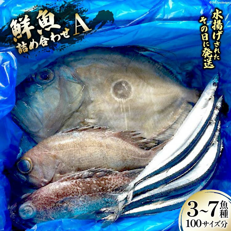 【ふるさと納税】鮮魚 詰め合わせ A 3〜7魚種 100サイズ分 [さんりくみらい 宮城県 気仙沼市 20563531] 産地直送 旬 魚介 魚 さかな