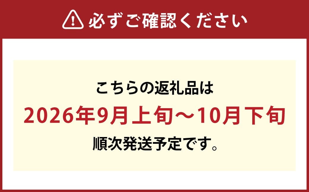 岡山シャインマスカット 1房 750グラム以上