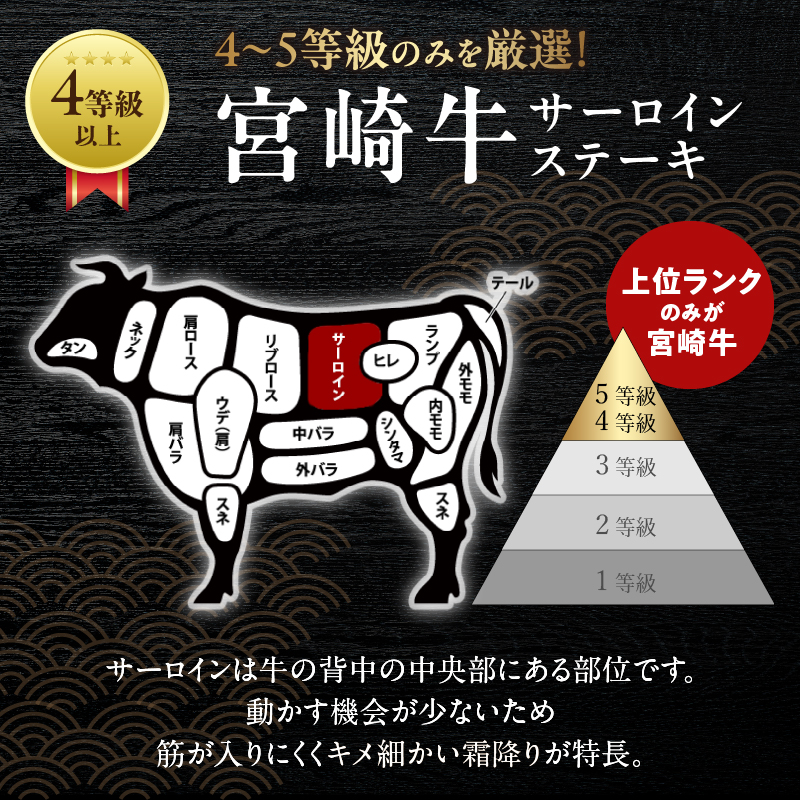 宮崎牛サーロインステーキ(計800g)_T050-002【都農町新着 肉 牛 牛肉 国産 人気 ギフト 食品 おかず お肉 焼肉 BBQ 贈り物 送料無料 プレゼント】