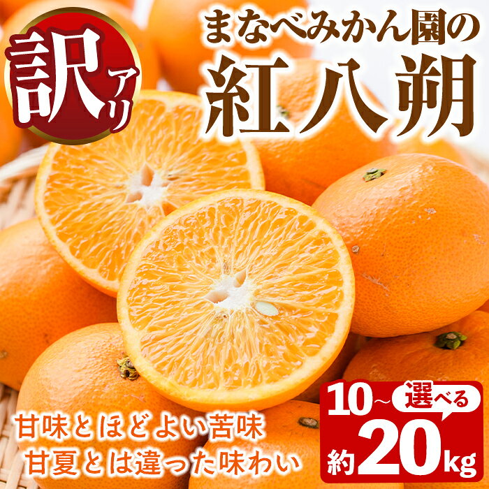 【ふるさと納税】＜先行予約受付中！2027年2月上旬以降順次発送予定＞＜内容量が選べる！＞訳あり！まなべみかん園の紅八朔(約10～20kg) 国産 鹿児島県産 阿久根市産 柑橘類 果物 デザート フルーツ 数量限定 期間限定 ご自宅用 ご家庭用 【有限会社まなべみかん園】