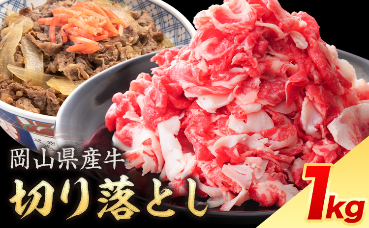 岡山県産牛 切り落とし 交雑牛 1kg お試し 大容量《60日以内に出荷予定(土日祝除く)》 岡山県 笠岡市 肉 送料無料