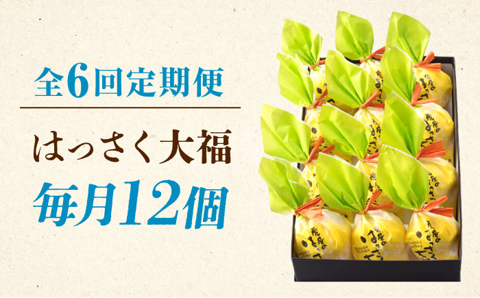 【全6回定期便】お菓子 はっさく大福12個入 お菓子 大福 八朔 柑橘 みかん オレンジ 餅 ギフト お取り寄せ スイーツ フルーツ大福 ご当地 菓子 おかし デザート 食品 人気 おすすめ 広島県福山市/株式会社虎屋本舗 [BADH015]