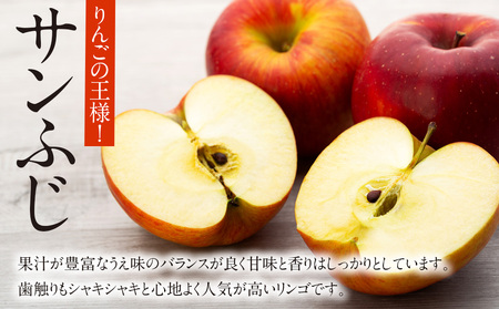 贈答用りんご サンふじ シナノゴールド 約3kg 12玉 (各6玉) りんご リンゴ 林檎 信州りんご 信濃ゴールド 果物 フルーツ 旬の果物 旬のフルーツ デザート 贈答用 ギフト 贈り物 プレゼン
