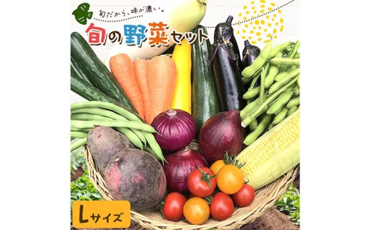 野菜 旬の野菜セット Lサイズ 約10～11種 《30日以内に出荷予定(土日祝除く)》 ベジLIFE!! 【配送不可地域あり】（沖縄・離島） 季節の野菜  料理 甘い 採れたて トマト 新玉ねぎ じゃがいも キャベツ 白菜 ベジライフ 千葉県 我孫子市