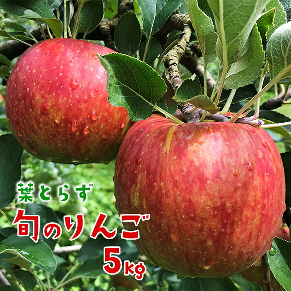 【ふるさと納税】先行予約 葉とらず 旬のりんご 5kg ふるさと納税 家庭用 リンゴ 林檎 果物 フルーツ 送料無料 岩手県 一関市