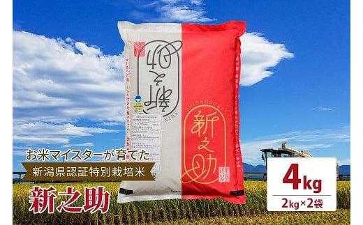 令和7年産お米マイスターが育てた新潟県認証特別栽培米「新之助」上越頸城産 4kg(2kg×2)精米 [№5361-0831]