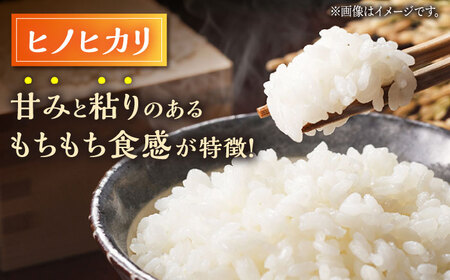 〈令和7年度新米〉ヒノヒカリ・にこまる 白米 食べ比べ 計10kg（5kg×2袋）【竹下農園】[ZEL003]