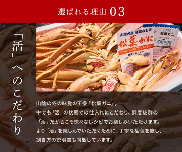 Y285 【蟹セレブ】タグ付き活〆ボイル・松葉がに（大・800ｇ前後）