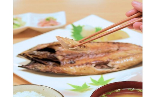 グルメ大賞受賞 唐津 旬の干物 塩干しセット 唐津産旬サバ（トキサバ）干物 旬アジ開き （淡汐造り）海鮮