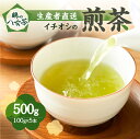 【ふるさと納税】鶴の八女茶（イチオシの煎茶） ＜生産者直送＞ 100g×5本 産地直送 産直 お茶 緑茶 本格 国産 人気 真空パック