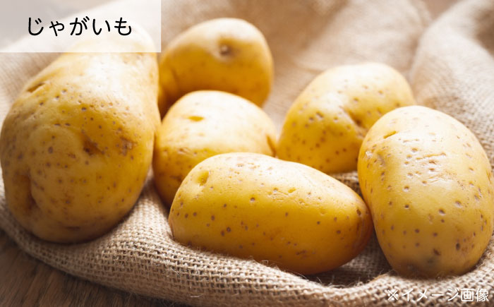 瀬戸内せんべい3袋セット 瀬戸田レモン ちりめん ジャガイモ 野菜せんべい チップス スナック 和菓子 お菓子 詰め合わせ れもん じゃがいも 広島県福山市/ワイオリファーム [BAGP002]