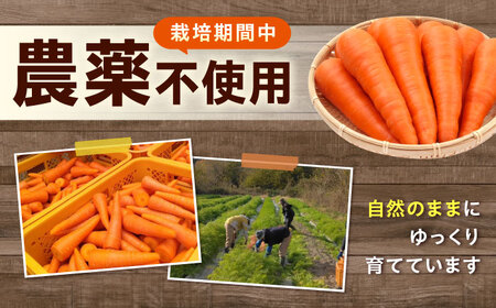 人参 10kg 人参 にんじん 野菜 やさい 旬の野菜 旬 季節 新鮮 採れたて 広島県福山市/しもみん農場[BAGT004]