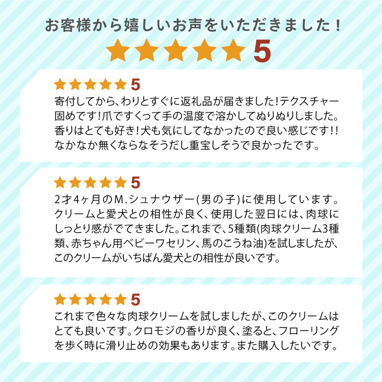 ネコの肉球ケアクリーム 30g【5個セット】 ｜ キャット ペット ケア用品 メンテナンスグッズ お手入れ 飼育 クロモジ 米油 シアバター 安心 蜂蜜成分 潤い 栄養 角質保護 殺菌作用 プレゼント