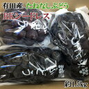 【ふるさと納税】【数量限定】希少なぶどう「BKシードレス」約1.5kg★2025年8月中旬頃より順次発送 | 先行予約 葡萄 ぶどう ブドウ マスカット 農家直送 フルーツ 果物 くだもの 人気 送料無料 期間限定 数量限定