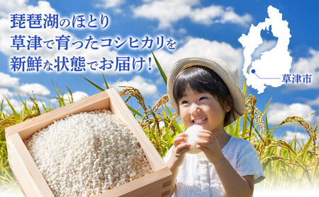 【ふるなびWEEK対象】令和7年産　近江米コシヒカリ（玄米）5kg×3　計15kg FN-Limited-PR