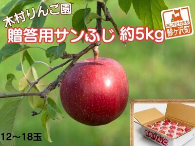 りんご サンふじ 木村りんご園 青森県産 りんご【約5kg 12〜18玉】