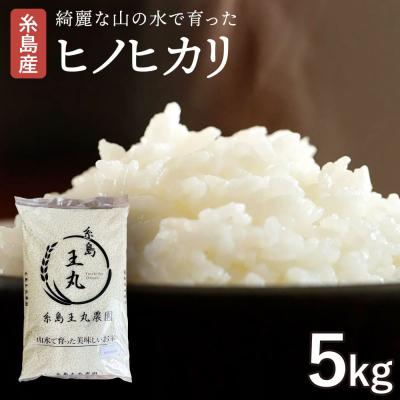 ふるさと納税 糸島市  ヒノヒカリ 5kg 糸島王丸農園(谷口汰一)【いとしまごころ】[AAZ010]
