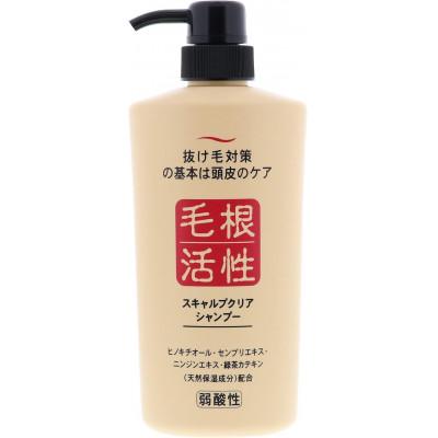 ふるさと納税 滑川市 スキャルプクリアシャンプー550ml×3本・トリートメント250g×3本セット |  | 01