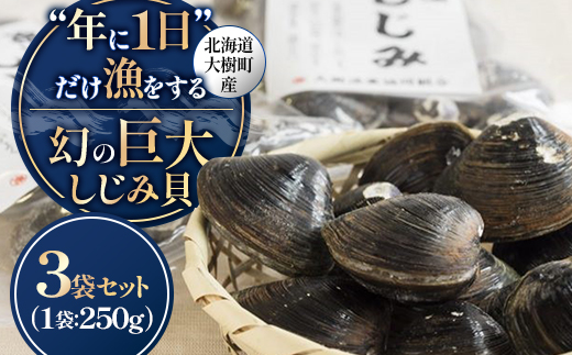 
                  ＜数量限定＞幻の「巨大しじみ貝」3袋セット(250g×3袋)【1535325】
                