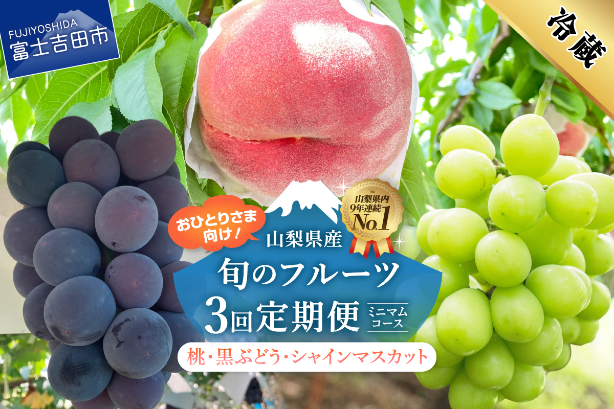 【2026年発送】【3回定期便】厳選 旬のフルーツ定期便（桃3玉・黒ぶどう1房・シャインマスカット1房）