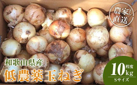 ［2026年発送分・先行予約］農家さん直送 低農薬玉ねぎ Sサイズ 10kg程度［4月中旬～7月中旬頃発送予定］［KF18］