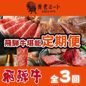 【毎月定期便】月替わりで色々な飛騨牛を楽しめる全3回【配送不可地域：離島】【4051413】