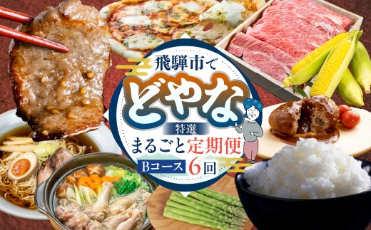 どやな飛騨市 定期便 Bコース いろいろ お届け 6ヵ月 6回   牛肉 肉 焼肉 飛騨牛 地鶏 米 新米 チーズ ピザ とうもろこし 定期便 お楽しみ 6回 半年 [Q3015] 100000円 10万円  飛騨市