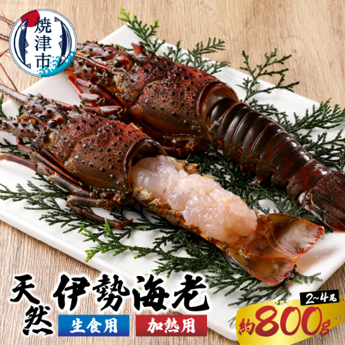 a40-075　伊勢海老 三昧セットA 刺身用＋焼物用